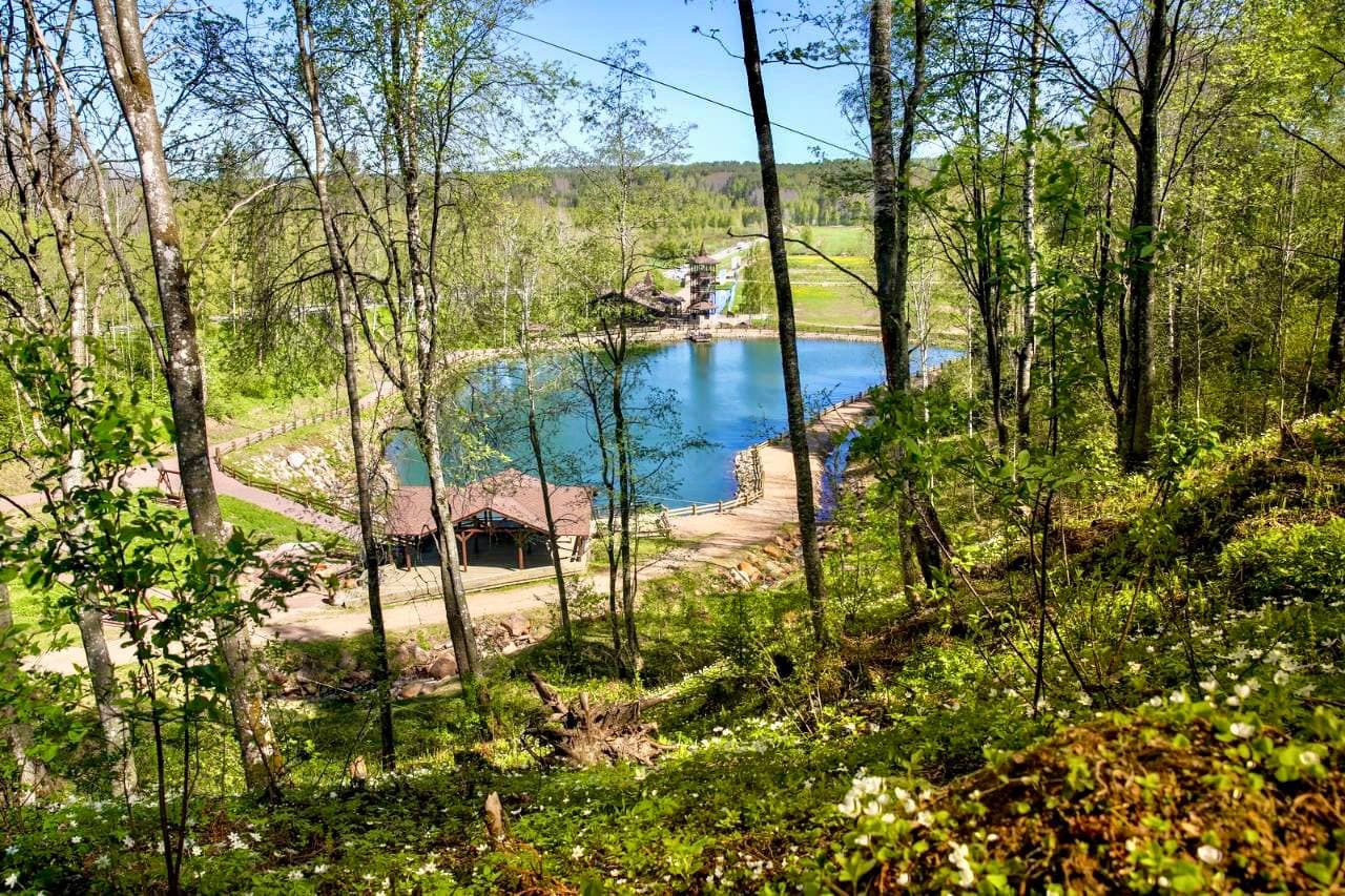 Панорама озера в лесу